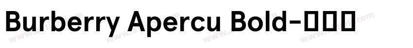 Burberry Apercu Bold字体转换